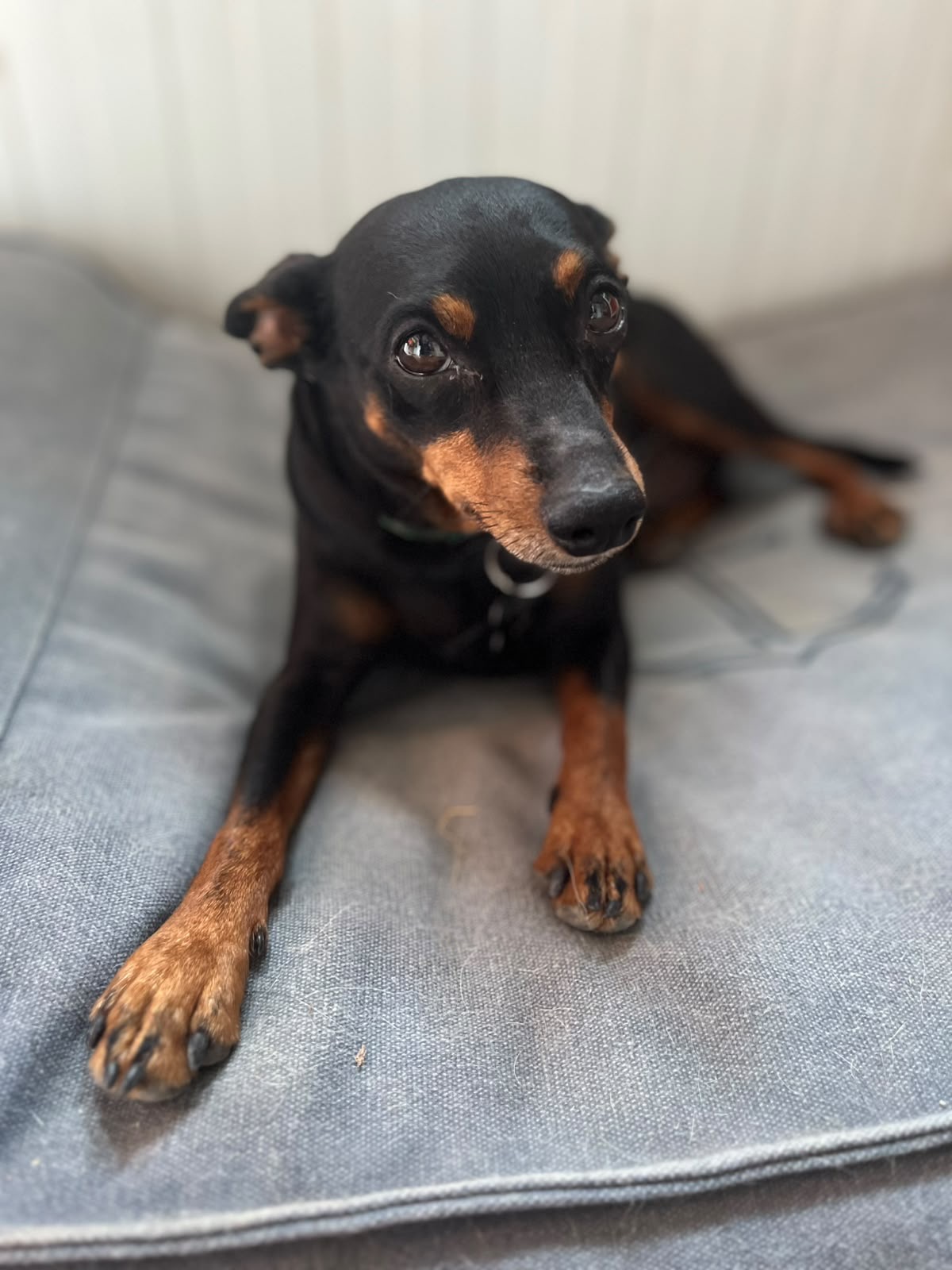 Ben 