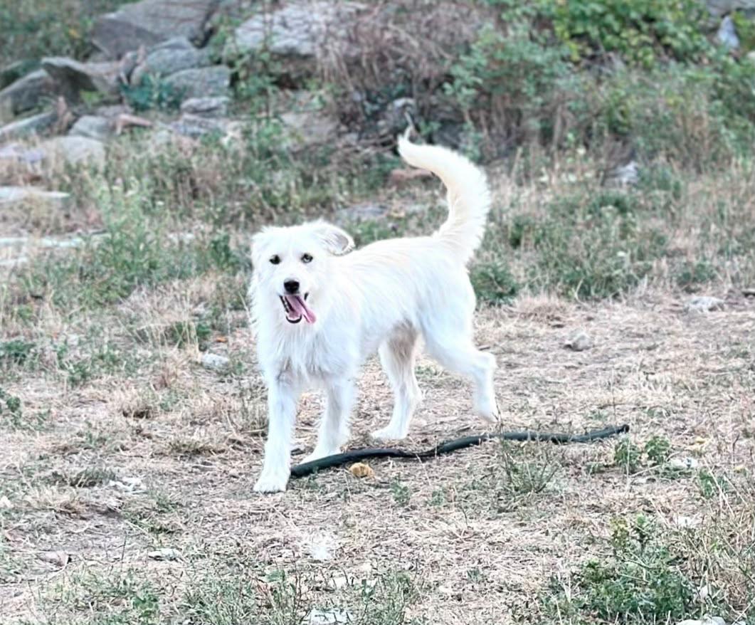 Max
